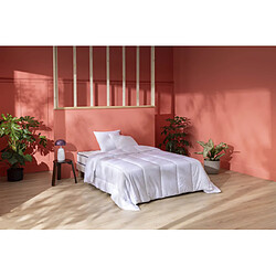 Ensemble Merinos Super Natty 140x190