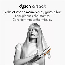 Avis Dyson Airstrait