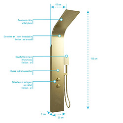 Acheter Aurlane Colonne de douche hydromassante
