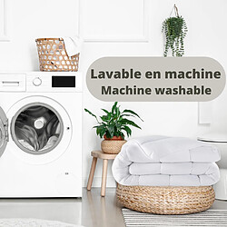 Acheter Sinlikon Matelas 160x200 et Couette et 2 Oreillers - Matelas 160x190x15cm + Couette 220x240cm + 2 Oreillers 60x60cm (tous dans un colis)