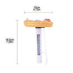 Avis B95B1AA801747 Thermomètre de piscine