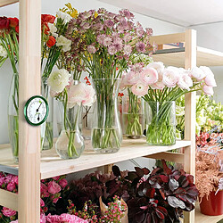 Thermomètre hygromètre mural d'intérieur