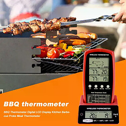 Thermomètre BBQ numérique à double sonde