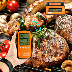Thermomètre BBQ numérique à double sonde