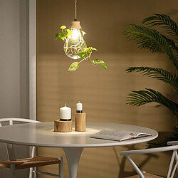 Avis Ledkia Suspension bois et verre Kathu Bumbieris - Naturel