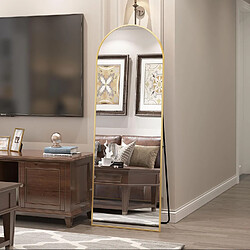 Acheter CASSILANDO Miroir pleine longueur 162 x 53 cm, miroir de sol avec cadre en aluminium, miroir sur pied arqué lisse, doré