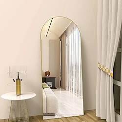 Acheter CASSILANDO Miroir pleine longueur 165 x 60 cm, miroir de sol avec cadre en aluminium, miroir sur pied arqué lisse, doré