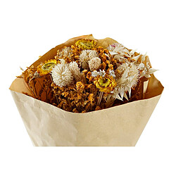 Avis Branche DKD Home Decor Fuchsia Jaune Fleur séchée (20 x 12 x 50 cm) (2 Unités)