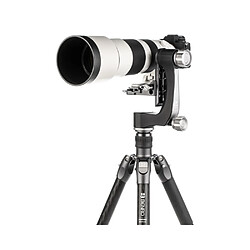 Avis BENRO Rotule pendulaire GH2N