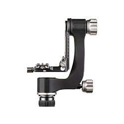 Acheter BENRO Rotule pendulaire GH2N
