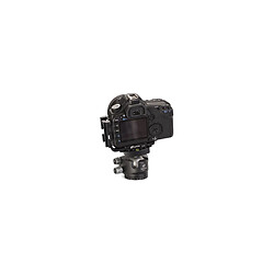 Acheter LEOFOTO Rotule LH-40 + Release Plate QP-70
