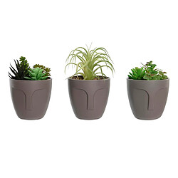 Plante & fleur artificielle DKD Home Decor