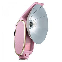 GODOX Flash Retro lux Senior ROSE