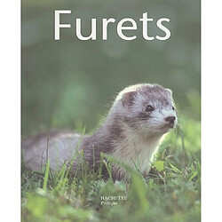 Furets - Occasion