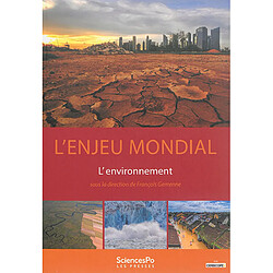 L'enjeu mondial : l'environnement
