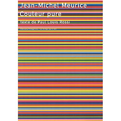 Jean-Michel Meurice, couleur pure