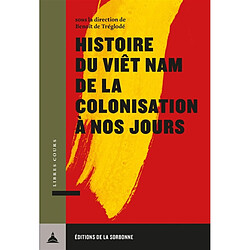 Histoire du Vietnam, de la colonisation à nos jours 