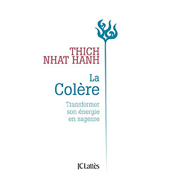 La colère : transformer son énergie en sagesse