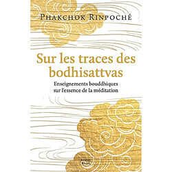 Sur les traces des bodhisattvas : enseignements bouddhiques sur l'essence de la méditation