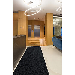 Avis RUGSX Paillasson antidérapant pour les mètres courants VIGOR extérieur, intérieur - anthracite 0923 100cm 100x260 cm