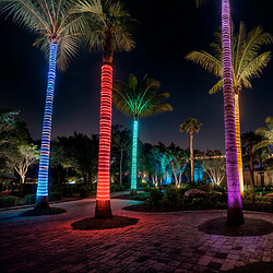 Ledkia Gaine LED Ronde 220V AC 36 LED/m RGB IP65 Coupe tous les 100 cm sur Mesure RGB 1 m