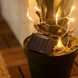 Ledkia Guirlande LED Extérieure Solaire Lilac 2m 3000K Blanc chaud