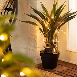 Avis Ledkia Guirlande lumineuse LED - Blanc chaud