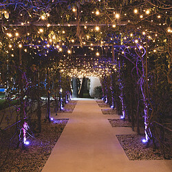 Ledkia Rideau de Guirlande LED Dimmable 3000K Blanc chaud