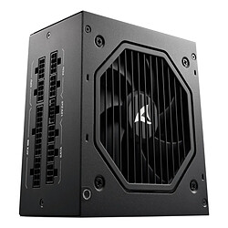 Bloc d’Alimentation Sharkoon Rebel P20 1200 W
