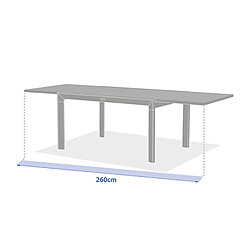 Avis Hesperide Table de jardin extensible en aluminium effet bois 10 places EVASION - Lin et vert laurier
