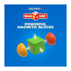 GeoMag