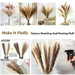 Botte de roseaux de marais séchés