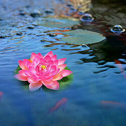 Plante flottante artificielle - Nénuphar