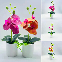 Fleurs artificielles en pot - Phalaenopsis