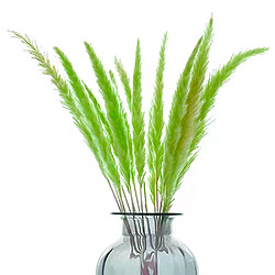 Fleurs séchées naturelles - Herbe des marais - 60 cm