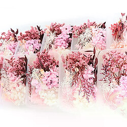 Fleurs Séchées pour Décoration