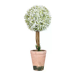 Bonsaï plante autoportante