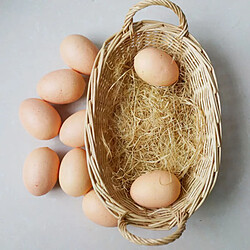 10 œufs artificiels - Accessoires de décoration