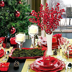 Baies rouges DIY pour décoration