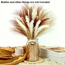 Botte de roseaux de marais séchés