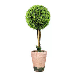 Bonsaï plante autoportante