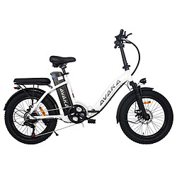 AVAKA BZ20 Plus