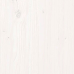 Acheter Helloshop26 Boîte coffre de jardin 101 x 50,5 x 46,5 cm bois massif de pin blanc 02_0012991