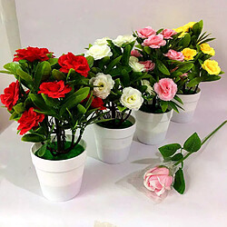 Bonsai en pot pour fête