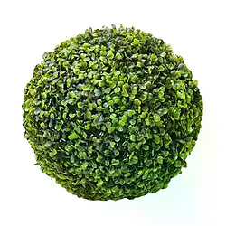 Boule de gazon de Milan - Plante décorative