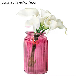 Avis Accessoires Photo lys Calla