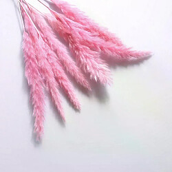 Botte de roseaux artificiels - Lot de 15 pièces