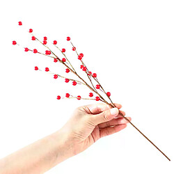 Baies et pommes de pin de décoration - Noël