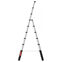 Avis Telesteps Escabeau télescopique Combi 3M