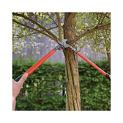 Bahco Ébrancheurs pro P16-60-F